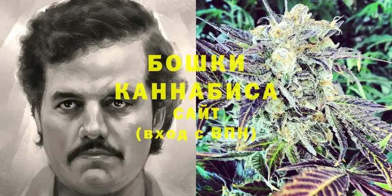 как найти   Ак-Довурак  Канабис OG Kush 